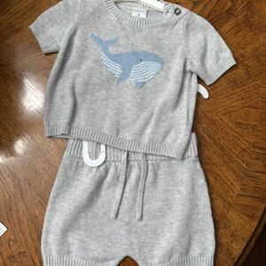 Nordstrom Gray Whale Knit Set